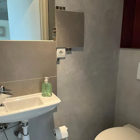 Appartement T2 En Plein Centre-ville Chambéry